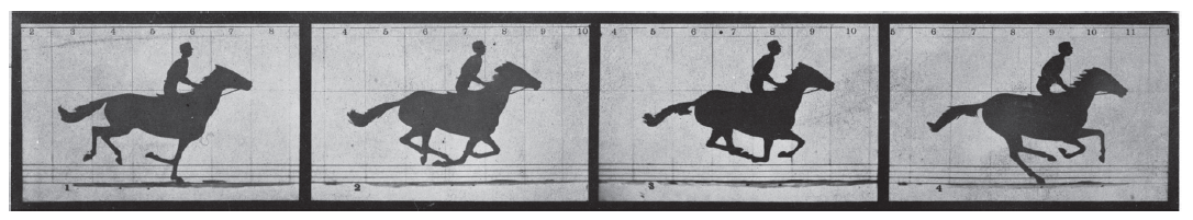 HorseInMotion